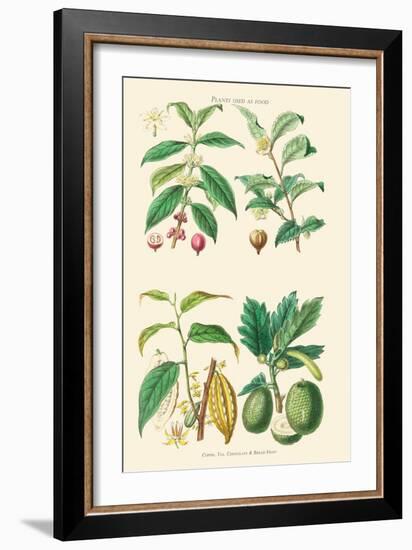 Plants Unused as Food. Coffee, Tea, Chocolate, Breadfruit-William Rhind-Framed Art Print