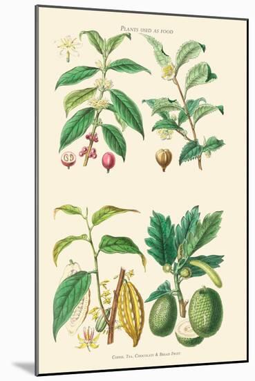 Plants Unused as Food. Coffee, Tea, Chocolate, Breadfruit-William Rhind-Mounted Art Print