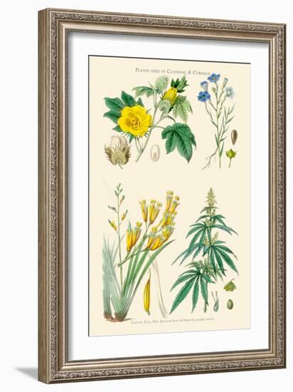 Plants Used in Clothing and Cordage. Cotton, Flax, New Zealand Flax, Cannabis-William Rhind-Framed Art Print