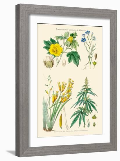 Plants Used in Clothing and Cordage. Cotton, Flax, New Zealand Flax, Cannabis-William Rhind-Framed Art Print