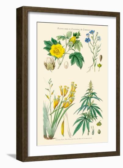 Plants Used in Clothing and Cordage. Cotton, Flax, New Zealand Flax, Cannabis-William Rhind-Framed Art Print