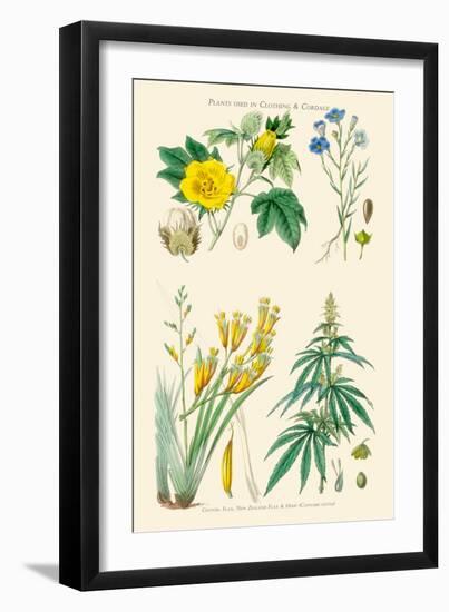 Plants Used in Clothing and Cordage. Cotton, Flax, New Zealand Flax, Cannabis-William Rhind-Framed Art Print