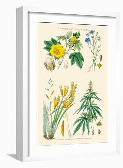 Plants Used in Clothing and Cordage. Cotton, Flax, New Zealand Flax, Cannabis-William Rhind-Framed Art Print