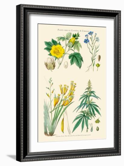 Plants Used in Clothing and Cordage. Cotton, Flax, New Zealand Flax, Cannabis-William Rhind-Framed Art Print