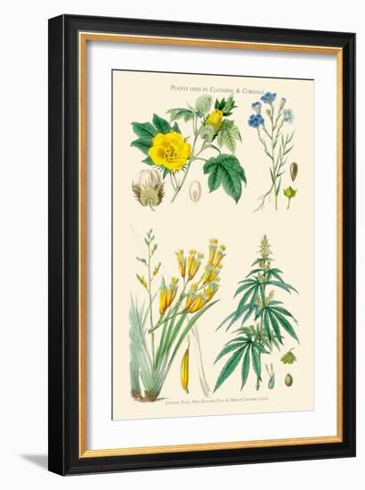 Plants Used in Clothing and Cordage. Cotton, Flax, New Zealand Flax, Cannabis-William Rhind-Framed Art Print