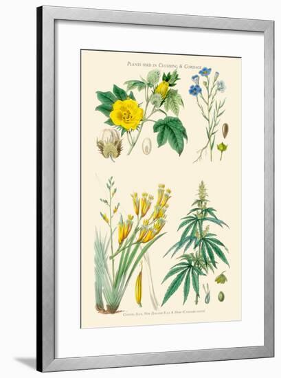 Plants Used in Clothing and Cordage. Cotton, Flax, New Zealand Flax, Cannabis-William Rhind-Framed Art Print