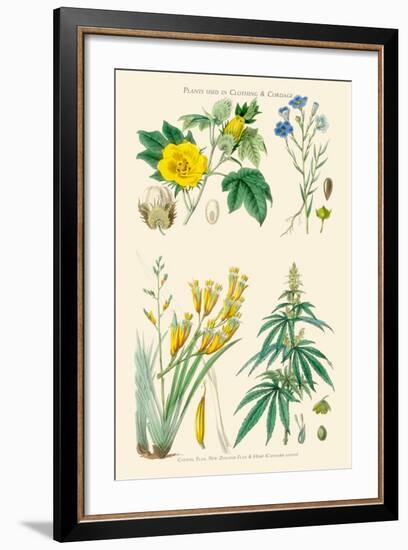 Plants Used in Clothing and Cordage. Cotton, Flax, New Zealand Flax, Cannabis-William Rhind-Framed Art Print