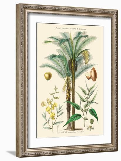 Plants Used in Clothing and Cordage. Gomuti Palm, Piassava Palm, Sunn Hemp, Jute-William Rhind-Framed Art Print