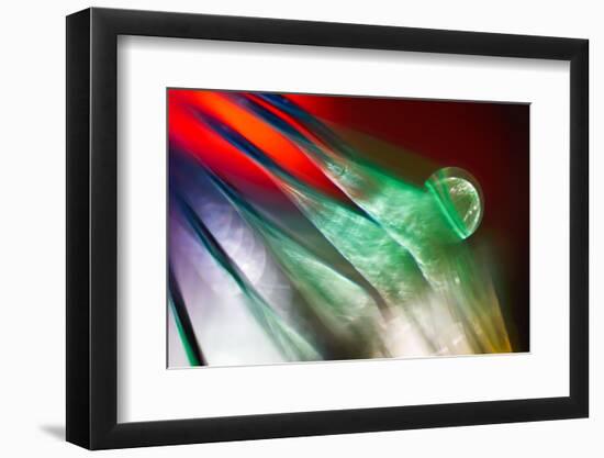 Plastic Bird-Ursula Abresch-Framed Photographic Print