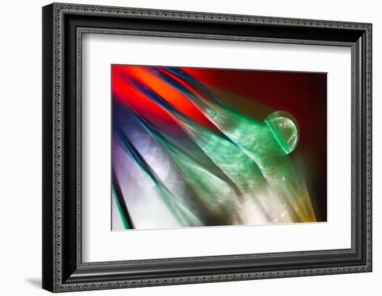 Plastic Bird-Ursula Abresch-Framed Photographic Print