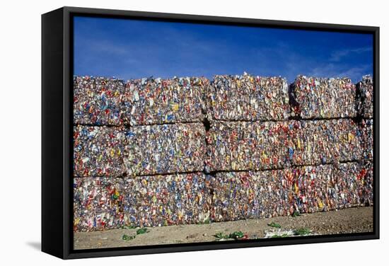 Plastic Recycling-Alan Sirulnikoff-Framed Premier Image Canvas