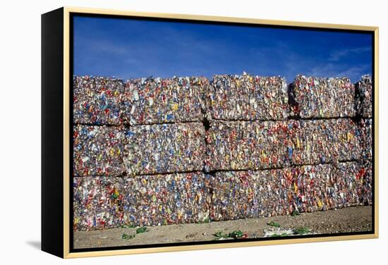 Plastic Recycling-Alan Sirulnikoff-Framed Premier Image Canvas
