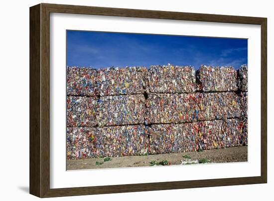 Plastic Recycling-Alan Sirulnikoff-Framed Photographic Print