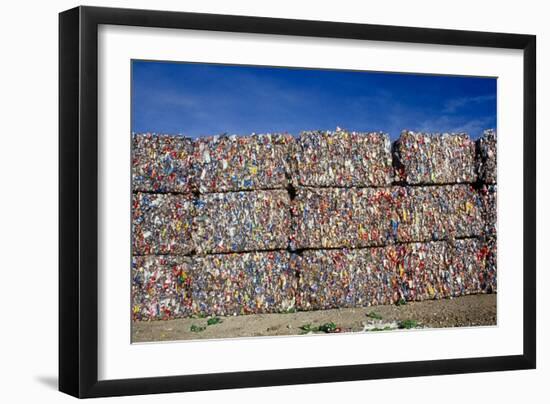 Plastic Recycling-Alan Sirulnikoff-Framed Photographic Print