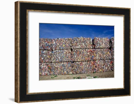 Plastic Recycling-Alan Sirulnikoff-Framed Photographic Print