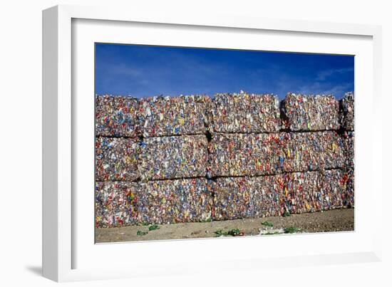 Plastic Recycling-Alan Sirulnikoff-Framed Photographic Print