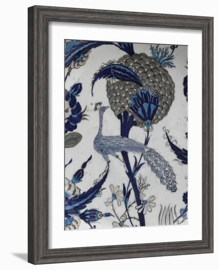 plat au paon-null-Framed Giclee Print