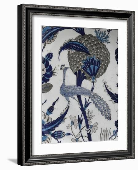 plat au paon-null-Framed Giclee Print