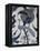 plat au paon-null-Framed Premier Image Canvas