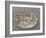 Plat ovaà bord ondulé, couleuvres, tortue, lézards, grenouil, poissons, étrilet coquillages-Bernard Palissy-Framed Giclee Print