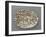 Plat ovaà bord ondulé, couleuvres, tortue, lézards, grenouil, poissons, étrilet coquillages-Bernard Palissy-Framed Giclee Print