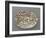 Plat ovaà bord ondulé, couleuvres, tortue, lézards, grenouil, poissons, étrilet coquillages-Bernard Palissy-Framed Giclee Print