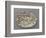 Plat ovaà bord ondulé, couleuvres, tortue, lézards, grenouil, poissons, étrilet coquillages-Bernard Palissy-Framed Giclee Print