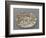 Plat ovaà bord ondulé, couleuvres, tortue, lézards, grenouil, poissons, étrilet coquillages-Bernard Palissy-Framed Giclee Print