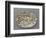 Plat ovaà bord ondulé, couleuvres, tortue, lézards, grenouil, poissons, étrilet coquillages-Bernard Palissy-Framed Giclee Print