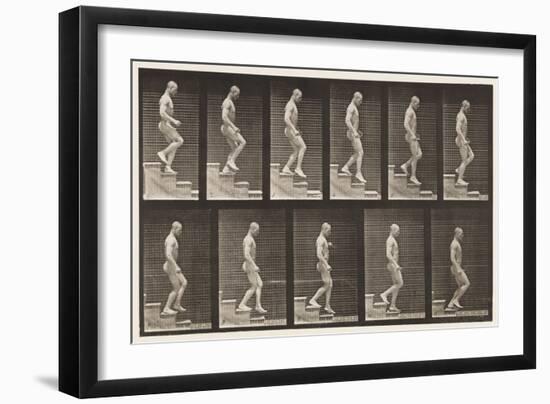 Plate 126. Descending Stairs, 1872-85 (Collotype on Paper)-Eadweard Muybridge-Framed Giclee Print