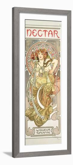 Plate 14 from 'Documents Decoratifs', 1902-Alphonse Mucha-Framed Giclee Print