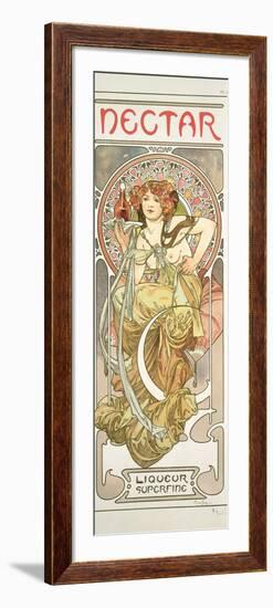 Plate 14 from 'Documents Decoratifs', 1902-Alphonse Mucha-Framed Giclee Print