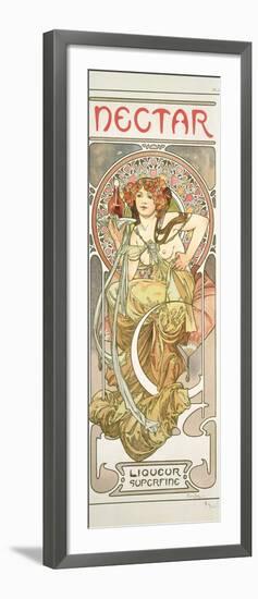 Plate 14 from 'Documents Decoratifs', 1902-Alphonse Mucha-Framed Giclee Print