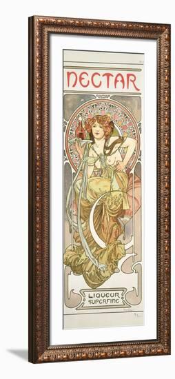 Plate 14 from 'Documents Decoratifs', 1902-Alphonse Mucha-Framed Giclee Print