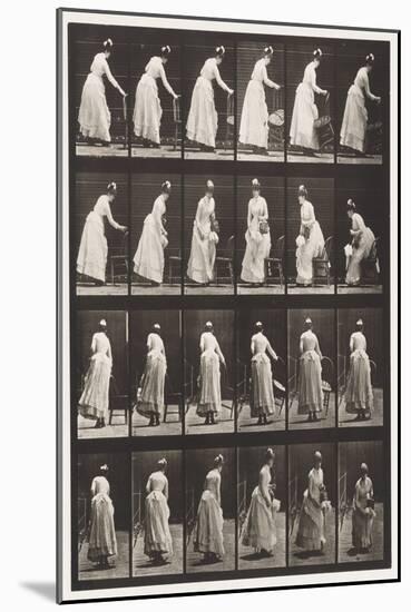 Plate 243.Placing Chair, Sitting and Flirting a Fan, 1885 (Collotype on Paper)-Eadweard Muybridge-Mounted Giclee Print