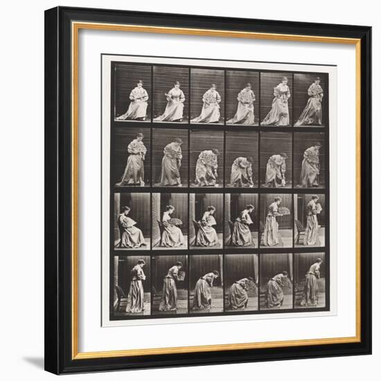 Plate 250. Rising from Chair, Stooping and Lifting Hand-Kerchief, 1885 (Collotype on Paper)-Eadweard Muybridge-Framed Giclee Print