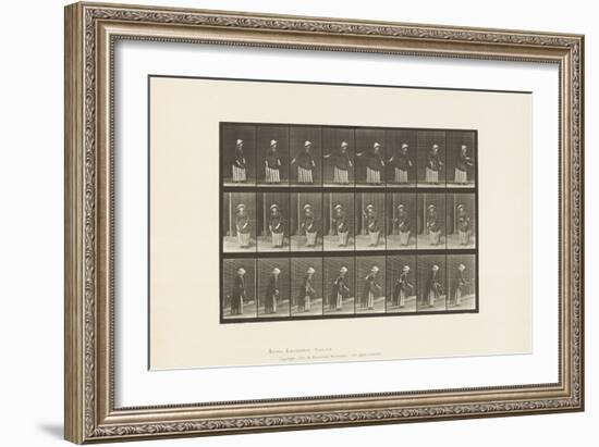 Plate 296. Lawn Tennis, 1885 (Collotype on Paper)-Eadweard Muybridge-Framed Giclee Print