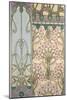 Plate 30 from 'Documents Decoratifs', 1902-Alphonse Mucha-Mounted Giclee Print