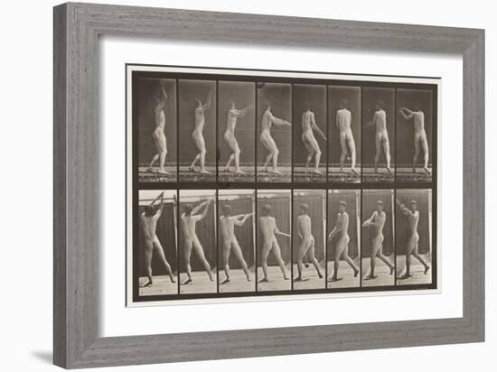 Plate 309. Throwing the Hammer, 1885 (Collotype on Paper)-Eadweard Muybridge-Framed Giclee Print