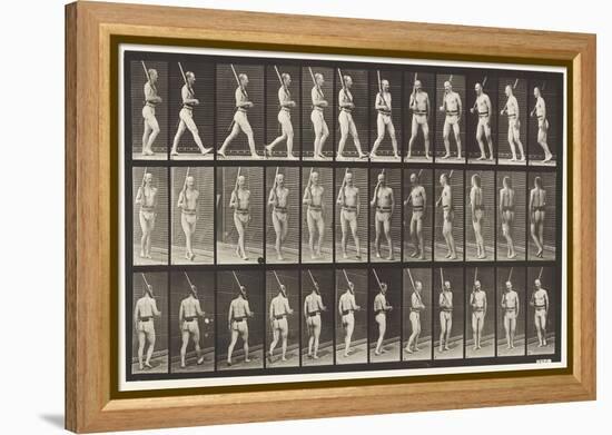 Plate 355. on Guard, Walking and Turning Around, 1872-85 (Collotype on Paper)-Eadweard Muybridge-Framed Premier Image Canvas