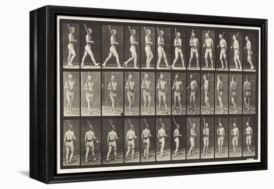 Plate 355. on Guard, Walking and Turning Around, 1872-85 (Collotype on Paper)-Eadweard Muybridge-Framed Premier Image Canvas