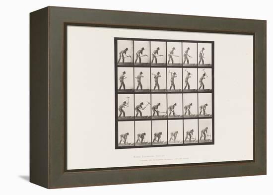 Plate 386. Miner Using a Pick, 1885 (Collotype on Paper)-Eadweard Muybridge-Framed Premier Image Canvas