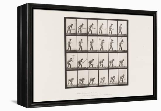 Plate 386. Miner Using a Pick, 1885 (Collotype on Paper)-Eadweard Muybridge-Framed Premier Image Canvas