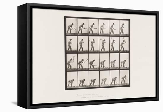 Plate 386. Miner Using a Pick, 1885 (Collotype on Paper)-Eadweard Muybridge-Framed Premier Image Canvas