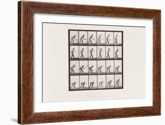 Plate 386. Miner Using a Pick, 1885 (Collotype on Paper)-Eadweard Muybridge-Framed Giclee Print