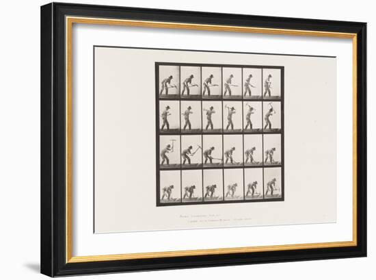Plate 386. Miner Using a Pick, 1885 (Collotype on Paper)-Eadweard Muybridge-Framed Giclee Print