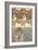 Plate 39 from 'Documents Decoratifs', 1902-Alphonse Mucha-Framed Giclee Print