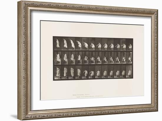 Plate 423. Toilet; Putting on Boots and Rising from Chair, 1885 (Collotype on Paper)-Eadweard Muybridge-Framed Giclee Print