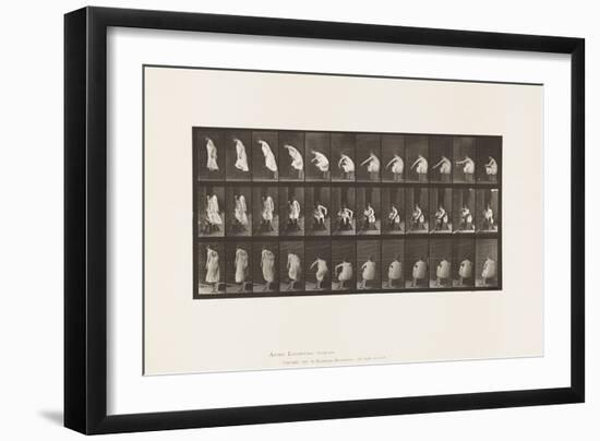 Plate 423. Toilet; Putting on Boots and Rising from Chair, 1885 (Collotype on Paper)-Eadweard Muybridge-Framed Giclee Print