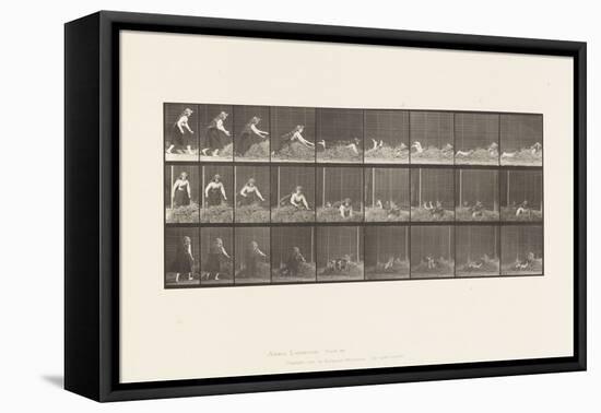 Plate 455. Throwing Self on Heap of Hay, 1885 (Collotype on Paper)-Eadweard Muybridge-Framed Premier Image Canvas